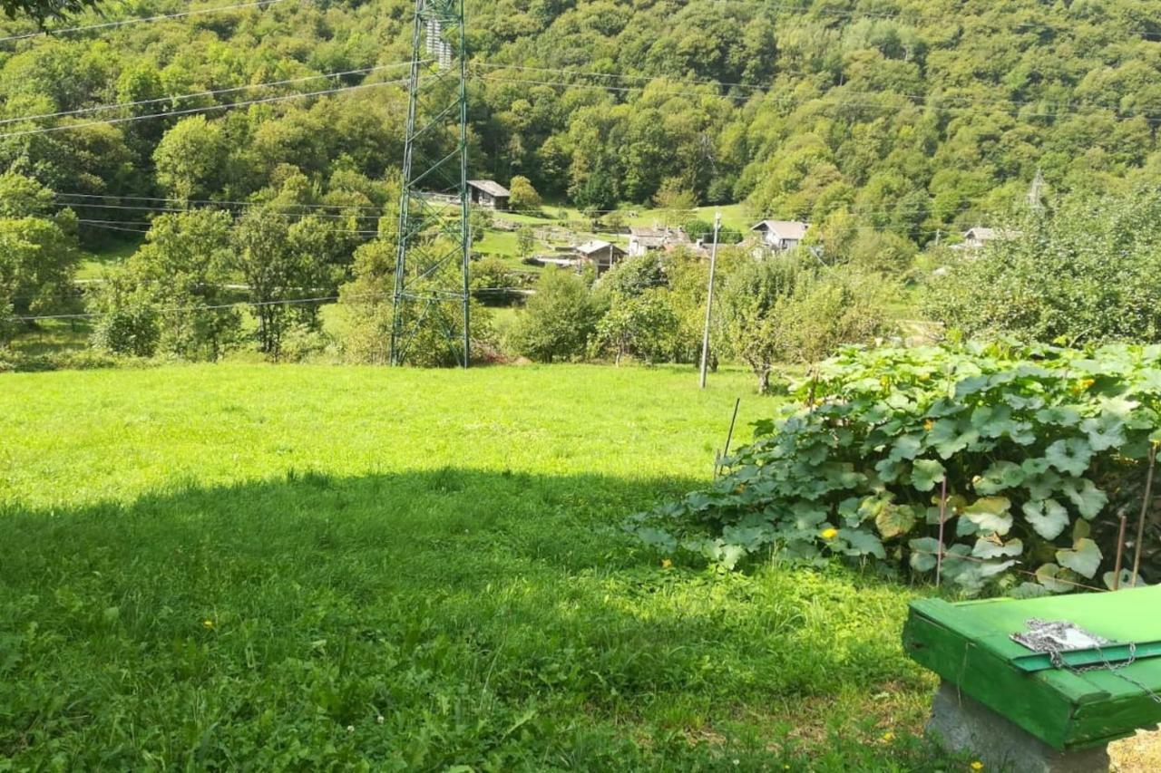 La Casetta Nel Cuore Del Parco Locana Exterior foto